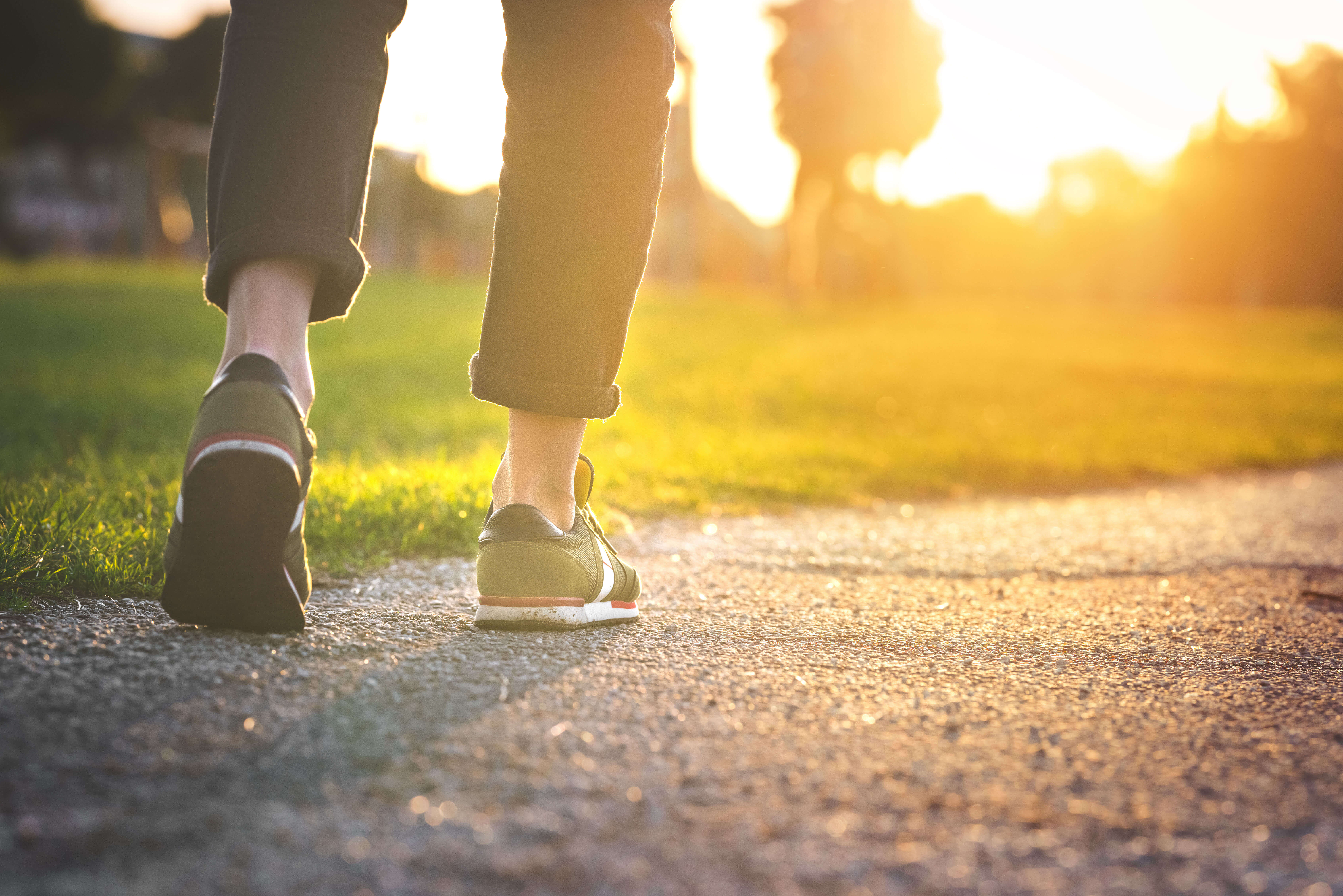 Physical Wellness - Walking Trail
