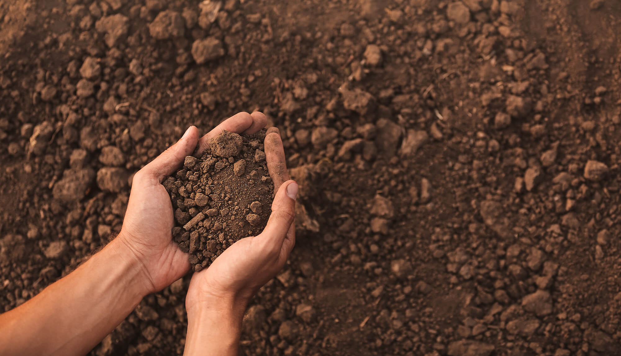 Oakmont Development - Lot Drainage & Grading